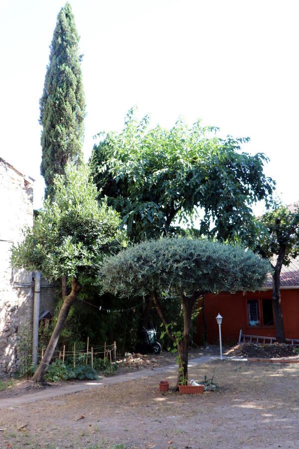 La Maison Du Soleil Vauvert Zewnętrze zdjęcie